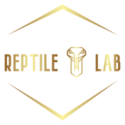 Reptile Lab